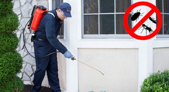 Köprüköy Uçan Haşere İlaçlama böcek ilaçlama ve haşere kontrolü — ilaclama-tr.com